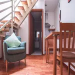 Rent 1 bedroom apartment in Milan