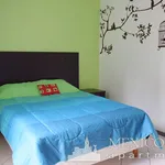 Rent 2 bedroom apartment of 90 m² in Mexico City