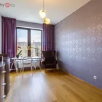 Rent 3 bedroom apartment in Praha