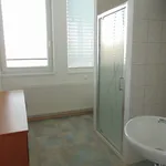 Rent 1 bedroom apartment in Znojmo