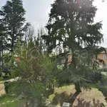 Rent 2 bedroom apartment of 100 m² in Milano