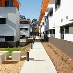 Rent 8 bedroom student apartment of 11 m² in Parramatta