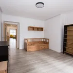 Pronajměte si 1 ložnic/e byt o rozloze 104 m² v Prague