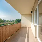 Rent 3 bedroom apartment of 72 m² in Warsaw