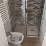 Rent 3 bedroom apartment of 60 m² in Anzio