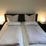 Miete 4 Schlafzimmer wohnung von 150 m² in Heidelberg