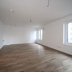 Miete 2 Schlafzimmer wohnung von 55 m² in Dresden