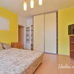 Rent 1 bedroom apartment of 38 m² in Brno