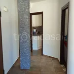 Rent 2 bedroom apartment of 60 m² in Roma