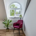 Studio of 34 m² in Prague