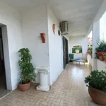 Rent 2 bedroom house of 60 m² in Anzio