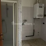 Affitto 4 camera casa di 200 m² in Torri di Quartesolo