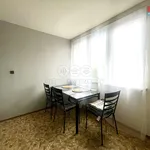 Rent 1 bedroom apartment of 37 m² in Frýdek-Místek