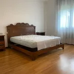 Rent 3 bedroom apartment of 120 m² in Padova