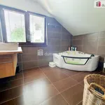 Rent 1 bedroom house of 396 m² in Káraný