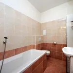 Rent 2 bedroom apartment of 58 m² in Capital City of Prague