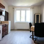 Rent 1 bedroom apartment of 50 m² in Prague