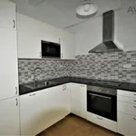 Rent 1 bedroom apartment of 55 m² in Capital City of Prague