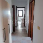 Rent 4 bedroom apartment of 110 m² in Avezzano