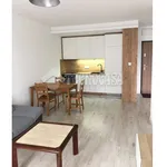 Rent 2 bedroom apartment of 42 m² in Krakow