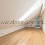 Rent 2 bedroom apartment of 98 m² in Vienna