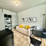 Rent 1 bedroom apartment of 28 m² in Milan