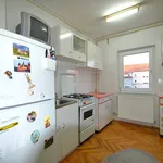 Rent 2 bedroom apartment of 56 m² in Timișoara