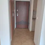 Rent 1 bedroom apartment of 28 m² in Warszawa