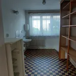 Rent 1 bedroom house in Praha - východ