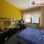 Rent 1 bedroom house of 201 m² in Hodonín