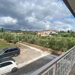 Rent 3 bedroom apartment of 66 m² in Zagarolo