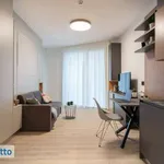 Rent 1 bedroom apartment of 28 m² in Milan