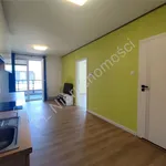 Wynajmę mieszkanie w apartamentowcu m2 z aneksem kuchennym 47 m² Milanówek