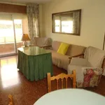 Rent a room in cordoba