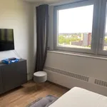 237 m² Studio in Cologne