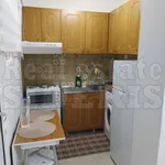 Rent 1 bedroom apartment of 30 m² in Municipal Unit of Loutraki - Perachora