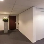 Huur 3 slaapkamer appartement van 116 m² in Buitenveldert-West