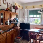 Rent 2 bedroom apartment of 45 m² in Pisa