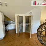 Pronajměte si 1 ložnic/e byt o rozloze 98 m² v Prague