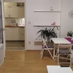 Pronajměte si 1 ložnic/e byt o rozloze 55 m² v Prague