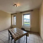  appartement avec 1 chambre(s) en location à Bohan