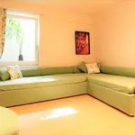 Rent 5 bedroom house of 150 m² in Roma