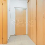 Rent 1 bedroom apartment in Capital City of Prague