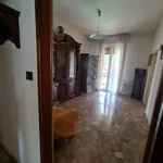 Rent 2 bedroom apartment of 70 m² in bologna