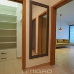 Rent 2 bedroom apartment of 50 m² in Brno