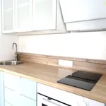 Rent 1 bedroom apartment of 28 m² in Zlín