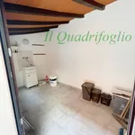 Rent 3 bedroom apartment of 60 m² in Prato