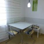 Rent 1 bedroom apartment of 47 m² in Prague