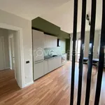 Rent 4 bedroom apartment of 110 m² in Milano