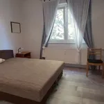 Rent 1 bedroom apartment of 54 m² in Pécs